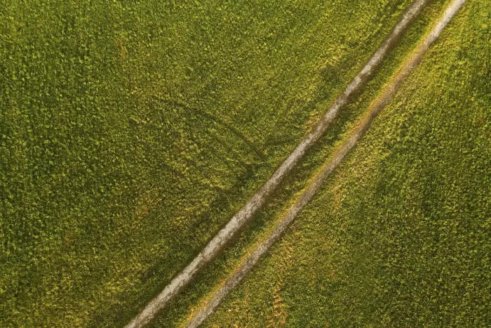 Gerahmter Druck : Feldweg durch gemähtes Gras. Gerahmter Druck : Feldweg durch gemähtes Gras.
