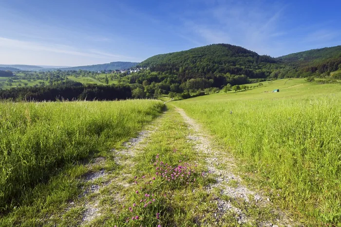 Gerahmter Druck : Feldweg in Spring, Weiler-Boppard