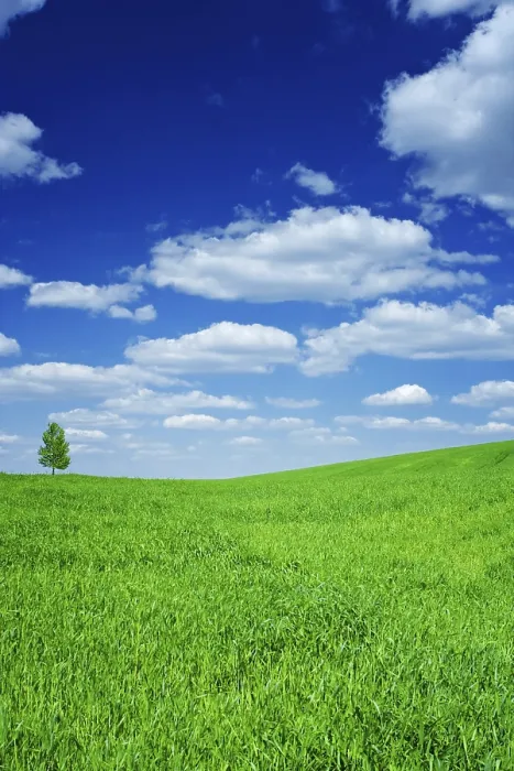 Gerahmter Druck : Feld und Himmel Gerahmter Druck : Feld und Himmel