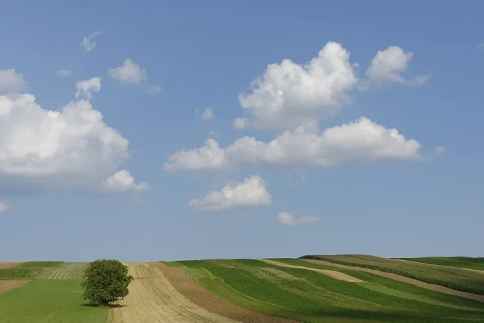 Gerahmter Druck : Felder im Herbst bei Altschlaining Gerahmter Druck : Felder im Herbst bei Altschlaining