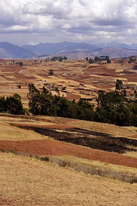 Gerahmter Druck : Felder, Chinchero, Provinz Cusco, Peru Gerahmter Druck : Felder, Chinchero, Provinz Cusco, Peru