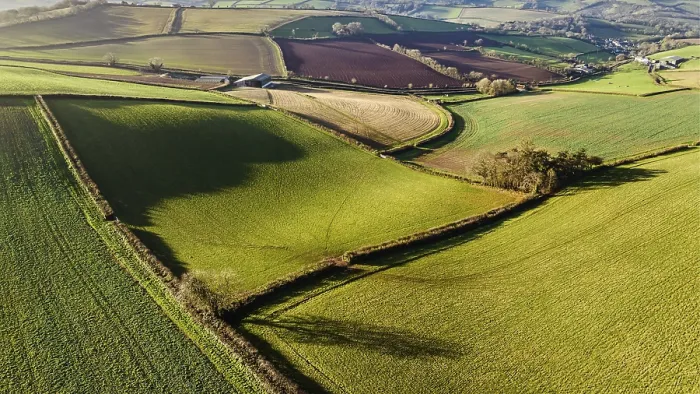 Gerahmter Druck : Felder und Bauern aus einem Drohnen, Devon. Gerahmter Druck : Felder und Bauern aus einem Drohnen, Devon.
