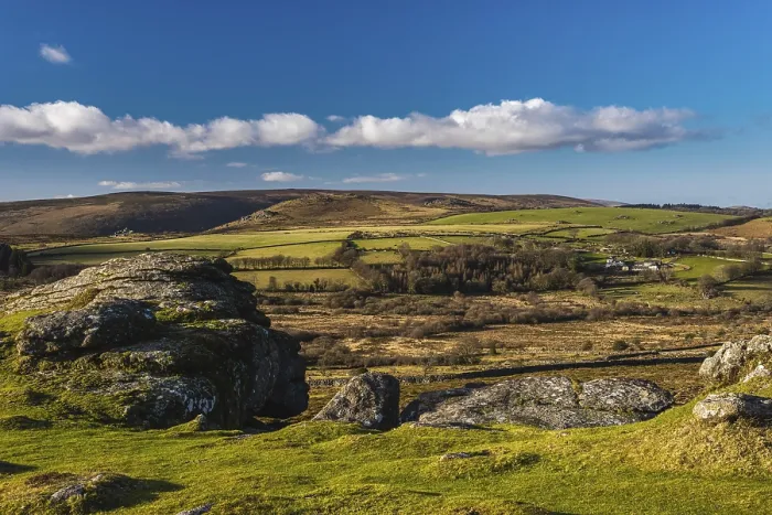 Gerahmter Druck : Felder und Wiesen in Haytor Rocks Gerahmter Druck : Felder und Wiesen in Haytor Rocks