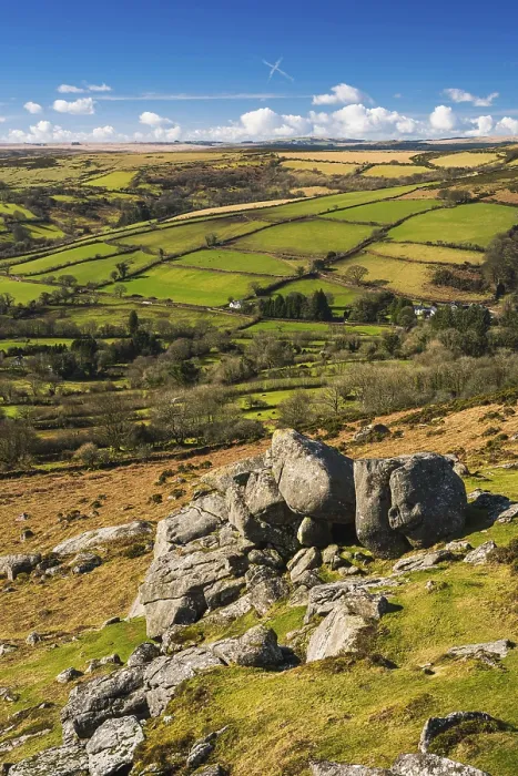 Gerahmter Druck : Felder und Wiesen in Haytor Rocks