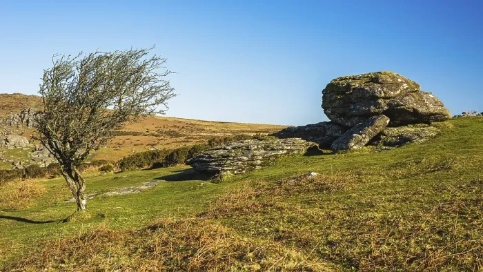 Gerahmter Druck : Felder und Wiesen bei Haytor Rocks Gerahmter Druck : Felder und Wiesen bei Haytor Rocks