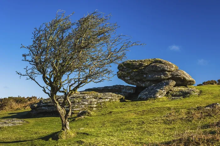 Gerahmter Druck : Felder und Wiesen in Haytor Rocks Gerahmter Druck : Felder und Wiesen in Haytor Rocks