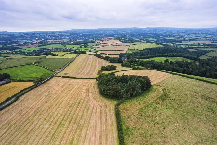 Gerahmter Druck : Felder und Wiesen über Torbay Gerahmter Druck : Felder und Wiesen über Torbay