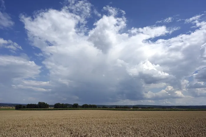 Gerahmter Druck : Felder in der Wetterau Gerahmter Druck : Felder in der Wetterau