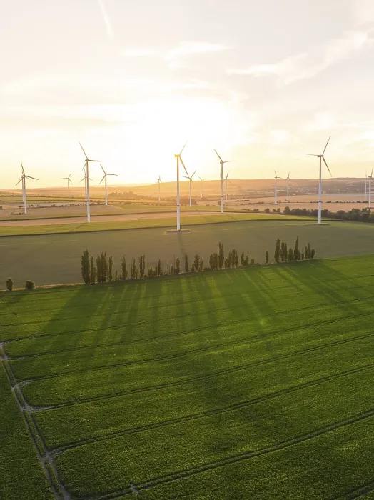 Gerahmter Druck : Felder mit Windrädern im weichen Abendsonnenschein. Gerahmter Druck : Felder mit Windrädern im weichen Abendsonnenschein.