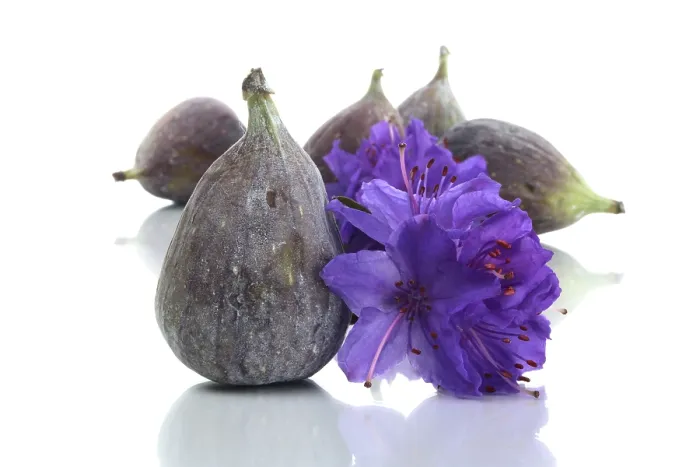 Gerahmter Druck : Figur mit Blüte. Gerahmter Druck : Figur mit Blüte.