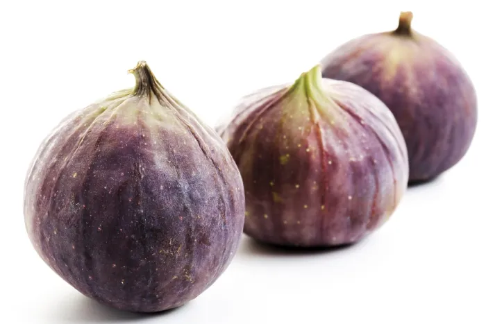 Gerahmter Druck : Figs Gerahmter Druck : Figs