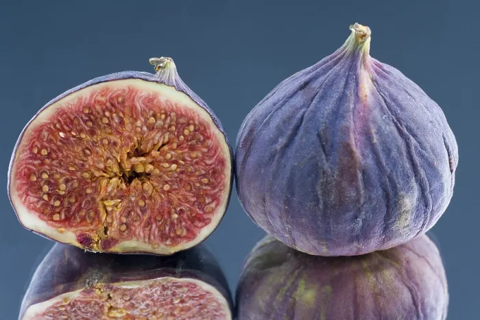Gerahmter Druck : Figs Gerahmter Druck : Figs