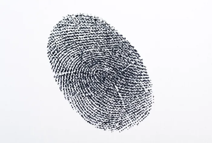 Gerahmter Druck : Fingerprint Gerahmter Druck : Fingerprint