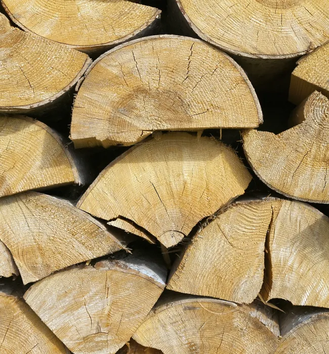 Gerahmter Druck : Holzfeuer. Feuerholz Gerahmter Druck : Holzfeuer. Feuerholz