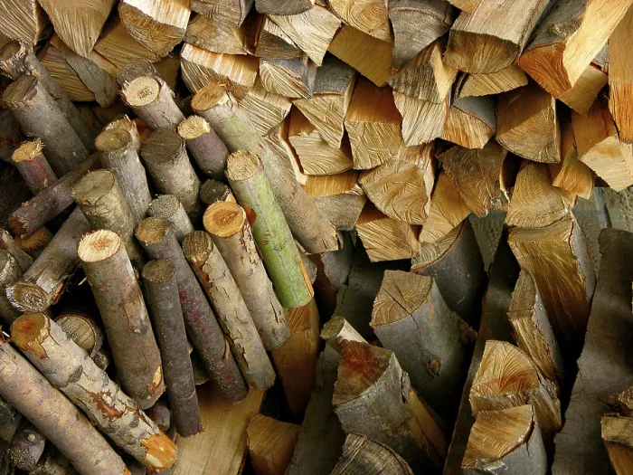 Gerahmter Druck : Firewood Gerahmter Druck : Firewood