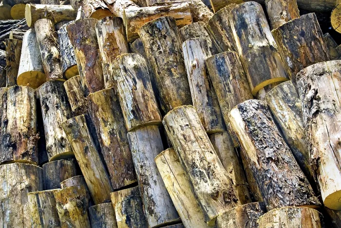 Gerahmter Druck : Firewood Gerahmter Druck : Firewood