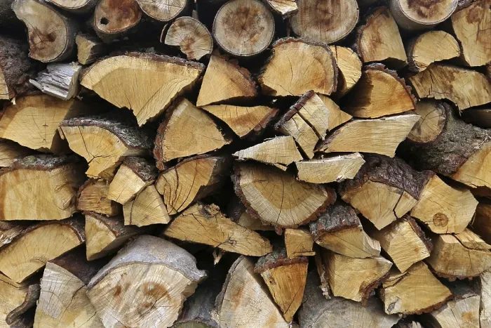 Gerahmter Druck : Firewood Gerahmter Druck : Firewood