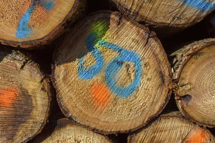 Gerahmter Druck : Holzstoß mit farbigen Markern Gerahmter Druck : Holzstoß mit farbigen Markern