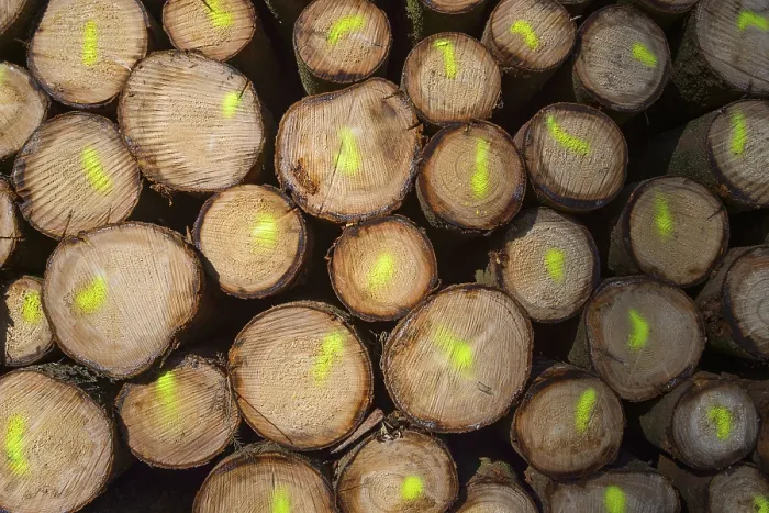 Gerahmter Druck : Holzstoß mit farbigen Markern Gerahmter Druck : Holzstoß mit farbigen Markern