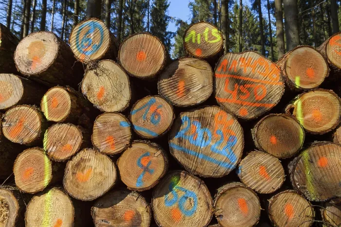 Gerahmter Druck : Holzstoß mit farbigen Markern Gerahmter Druck : Holzstoß mit farbigen Markern