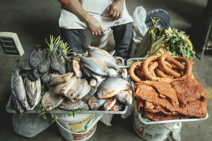 Gerahmter Druck : Fische aus dem Amazonas, Pacu, Colossoma Gerahmter Druck : Fische aus dem Amazonas, Pacu, Colossoma