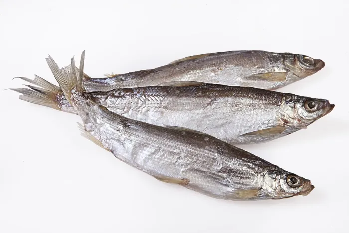 Gerahmter Druck : Fische auf einem isolierten Studioshelfer. Gerahmter Druck : Fische auf einem isolierten Studioshelfer.