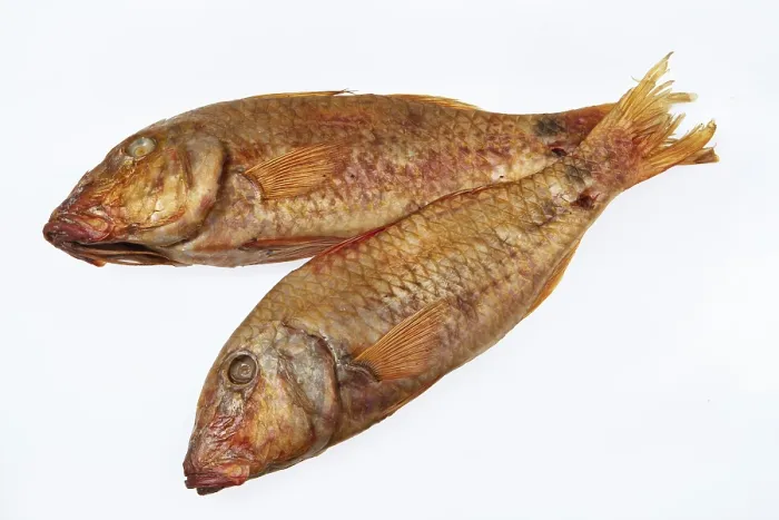 Gerahmter Druck : Fisch auf einem isolierten weißen Studiohintergrund. Gerahmter Druck : Fisch auf einem isolierten weißen Studiohintergrund.