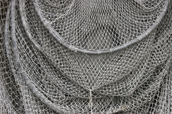 Gerahmter Druck : Fischfallen Gerahmter Druck : Fischfallen