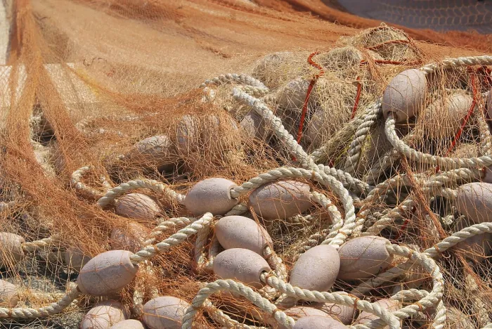 Gerahmter Druck : Fischernetz Gerahmter Druck : Fischernetz