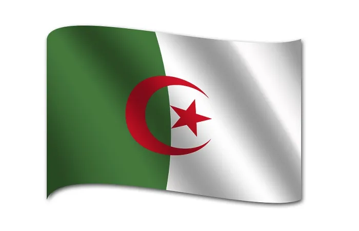 Gerahmter Druck : Flagge Algeriens Gerahmter Druck : Flagge Algeriens