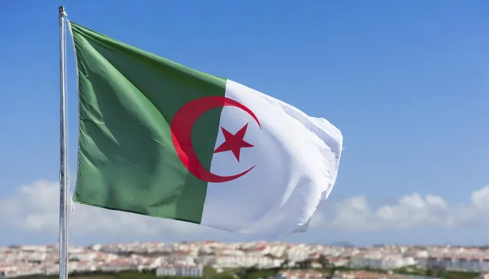 Gerahmter Druck : Die Flagge Algeriens flattert im Wind. Gerahmter Druck : Die Flagge Algeriens flattert im Wind.