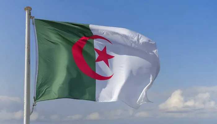 Gerahmter Druck : Die Flagge Algeriens flattert im Wind. Gerahmter Druck : Die Flagge Algeriens flattert im Wind.