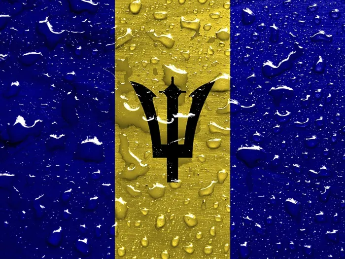 Gerahmter Druck : Flagge von Barbados mit Regentropfen. Gerahmter Druck : Flagge von Barbados mit Regentropfen.