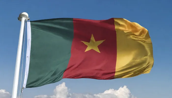 Gerahmter Druck : Das Flagge von Kamerun weht im Wind. Gerahmter Druck : Das Flagge von Kamerun weht im Wind.