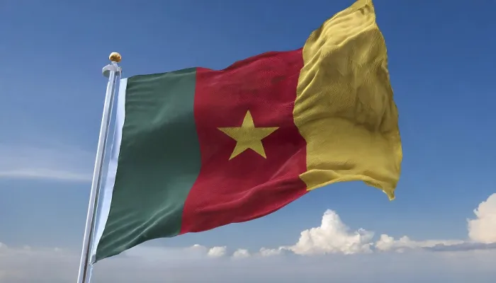 Gerahmter Druck : Das Flagge von Kamerun weht im Wind. Gerahmter Druck : Das Flagge von Kamerun weht im Wind.