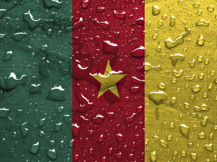 Gerahmter Druck : Flagge von Kamerun mit Regentropfen. Gerahmter Druck : Flagge von Kamerun mit Regentropfen.