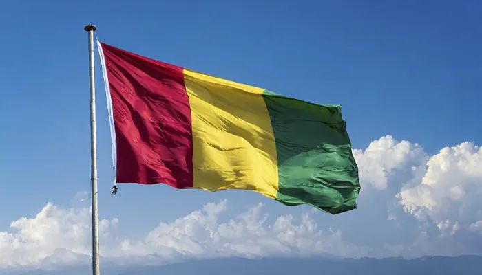 Gerahmter Druck : Das Flagge von Guinea weht im Wind. Gerahmter Druck : Das Flagge von Guinea weht im Wind.