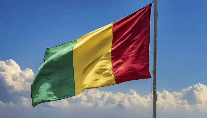 Gerahmter Druck : Das Flagge von Guinea weht im Wind. Gerahmter Druck : Das Flagge von Guinea weht im Wind.