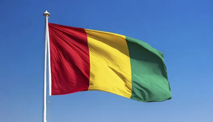 Gerahmter Druck : Das Flagge von Guinea flattert im Wind. Gerahmter Druck : Das Flagge von Guinea flattert im Wind.