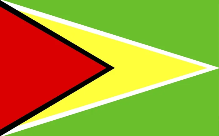 Gerahmter Druck : Flagge von Guyana Gerahmter Druck : Flagge von Guyana