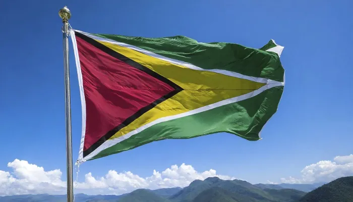 Gerahmter Druck : Die Flagge von Guyana flattert im Wind. Gerahmter Druck : Die Flagge von Guyana flattert im Wind.