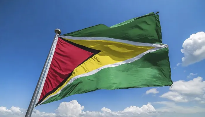 Gerahmter Druck : Die Flagge von Guyana flattert im Wind. Gerahmter Druck : Die Flagge von Guyana flattert im Wind.