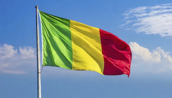 Gerahmter Druck : Das Flagge von Mali, flatternd im Wind. Gerahmter Druck : Das Flagge von Mali, flatternd im Wind.