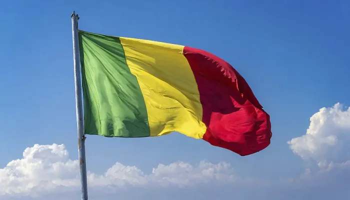 Gerahmter Druck : Das Flagge von Mali flattert im Wind. Gerahmter Druck : Das Flagge von Mali flattert im Wind.