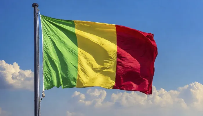 Gerahmter Druck : Das Flagge von Mali, flattert im Wind. Gerahmter Druck : Das Flagge von Mali, flattert im Wind.