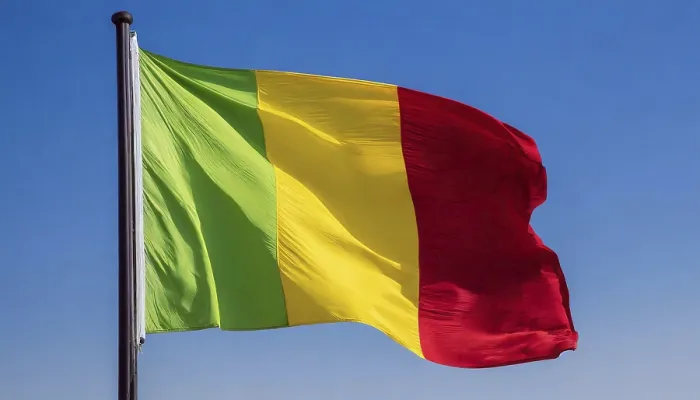 Gerahmter Druck : Das Flagge von Mali, flatternd im Wind. Gerahmter Druck : Das Flagge von Mali, flatternd im Wind.