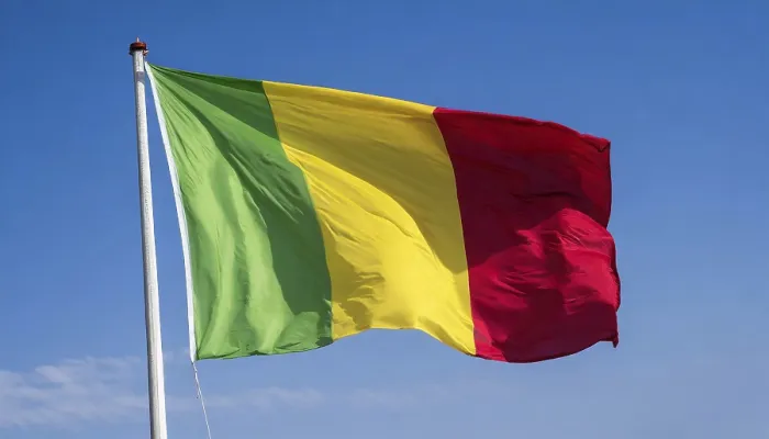 Gerahmter Druck : Das Flagge von Mali, flatternd im Wind. Gerahmter Druck : Das Flagge von Mali, flatternd im Wind.