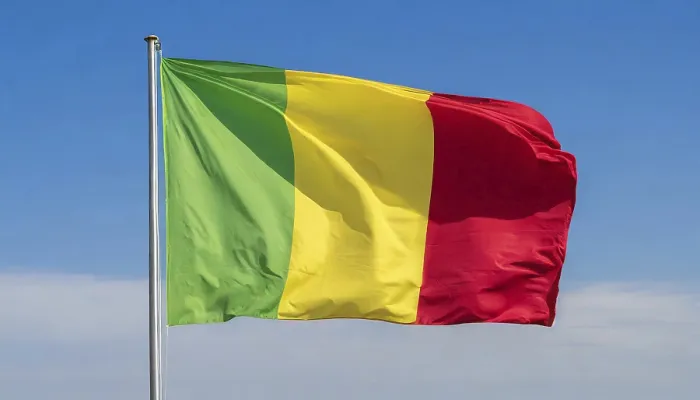 Gerahmter Druck : Das Flagge von Mali, flatternd im Wind. Gerahmter Druck : Das Flagge von Mali, flatternd im Wind.