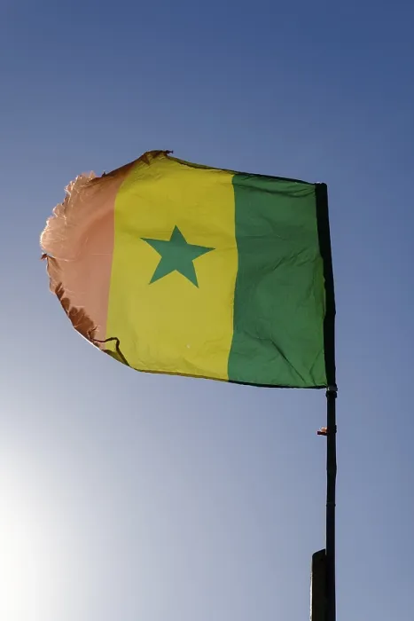 Gerahmter Druck : Flagge des Senegal Gerahmter Druck : Flagge des Senegal