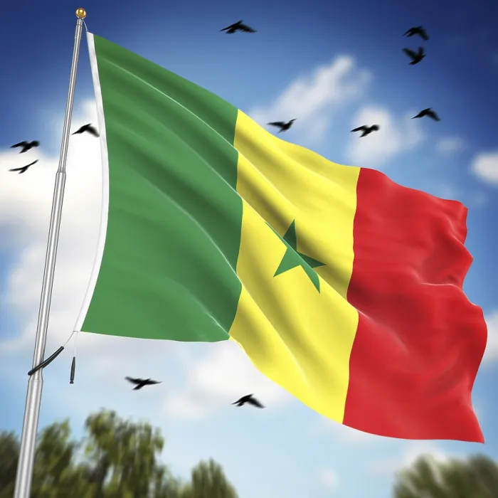 Gerahmter Druck : Flagge des Senegal, Dies ist eine computer-generierte und 3D-gerenderte Abbildung. Gerahmter Druck : Flagge des Senegal, Dies ist eine computer-generierte und 3D-gerenderte Abbildung.
